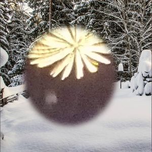 Meet your Posher, Ann-marie